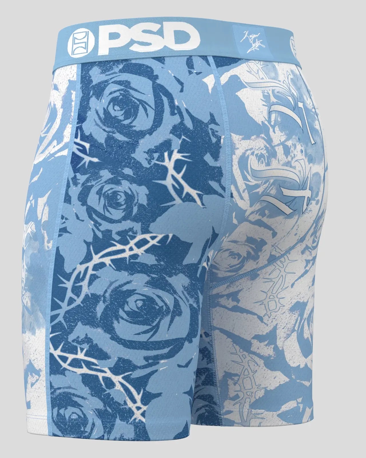 Kiyan Anthony - Frost Thorn - Image 3